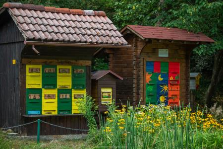 CEBELARJI (32 of 43)